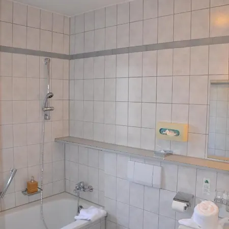 מלון Alpina Nature-wellness 4*