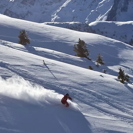 Alpina Nature-wellness 4*