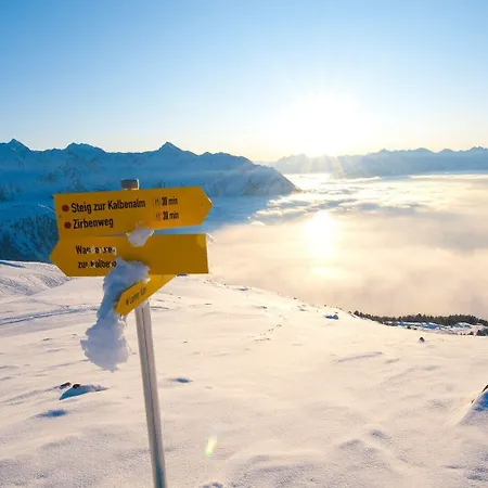 מלון Alpina Nature-wellness 4*