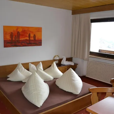 Отель Alpina Nature-wellness