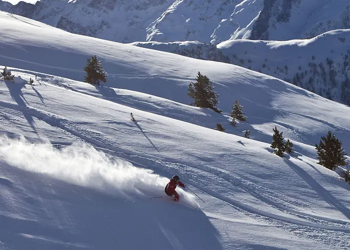 Alpina Nature-wellness 4*