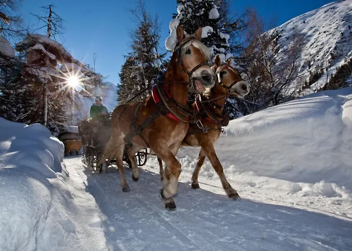 Alpina Nature-wellness