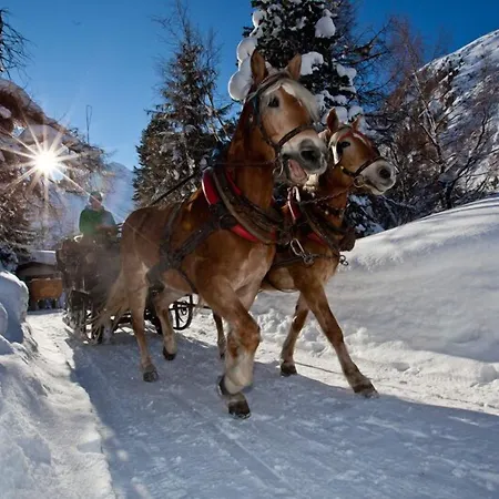 Alpina Nature-wellness